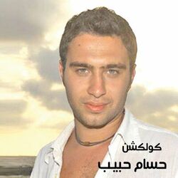 Cover of Hossam Habib Collection