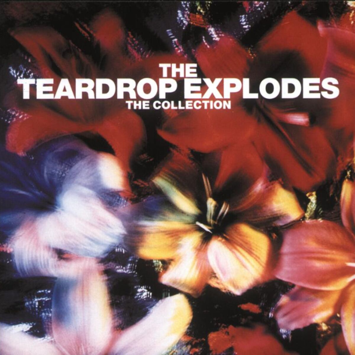 Album cover of The Collection