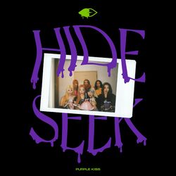 Cover of HIDE & SEEK