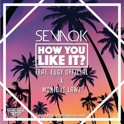 Cover of How You Like It
