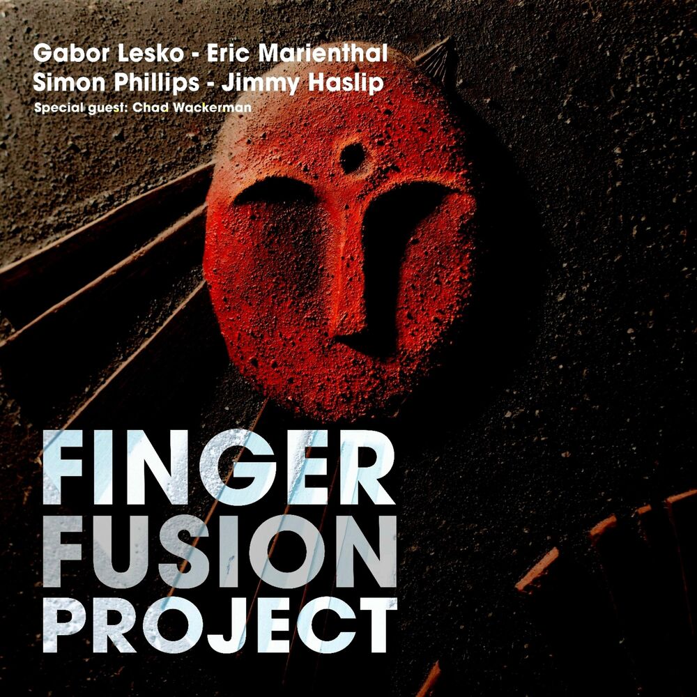 Picture of FingerFusion Project