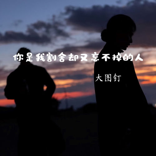 你是我割舍却又忘不掉的人