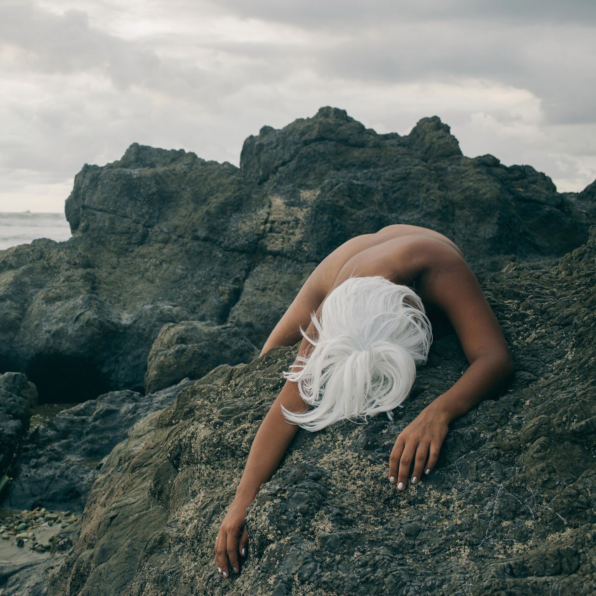 Album cover of Sepalina