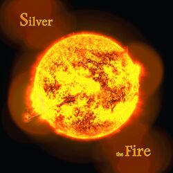Cover of The Fire