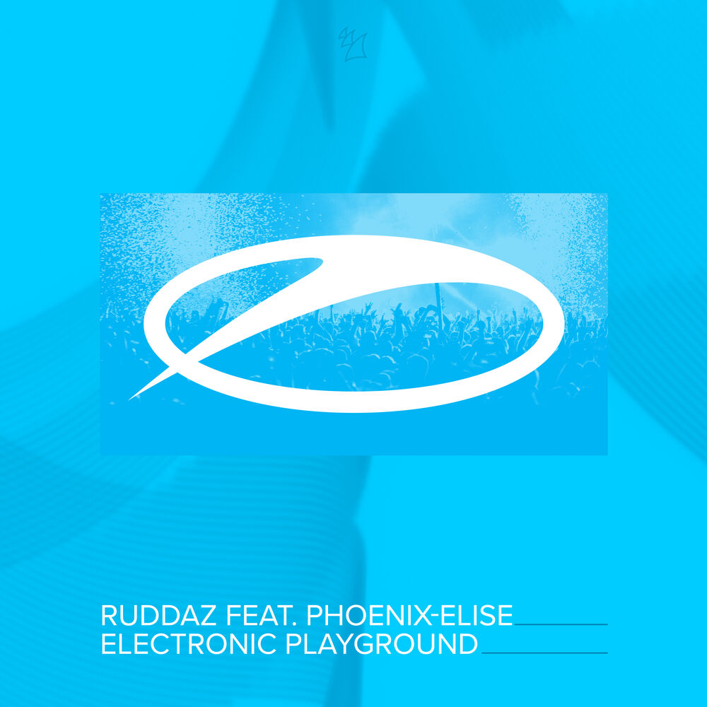 Picture of Electronic Playground