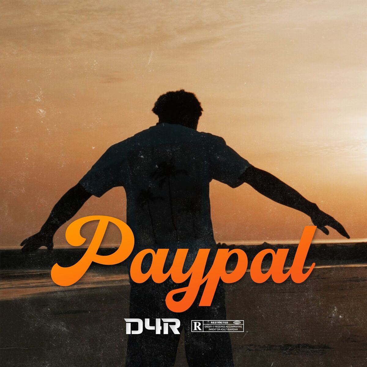 Album cover of Paypal
