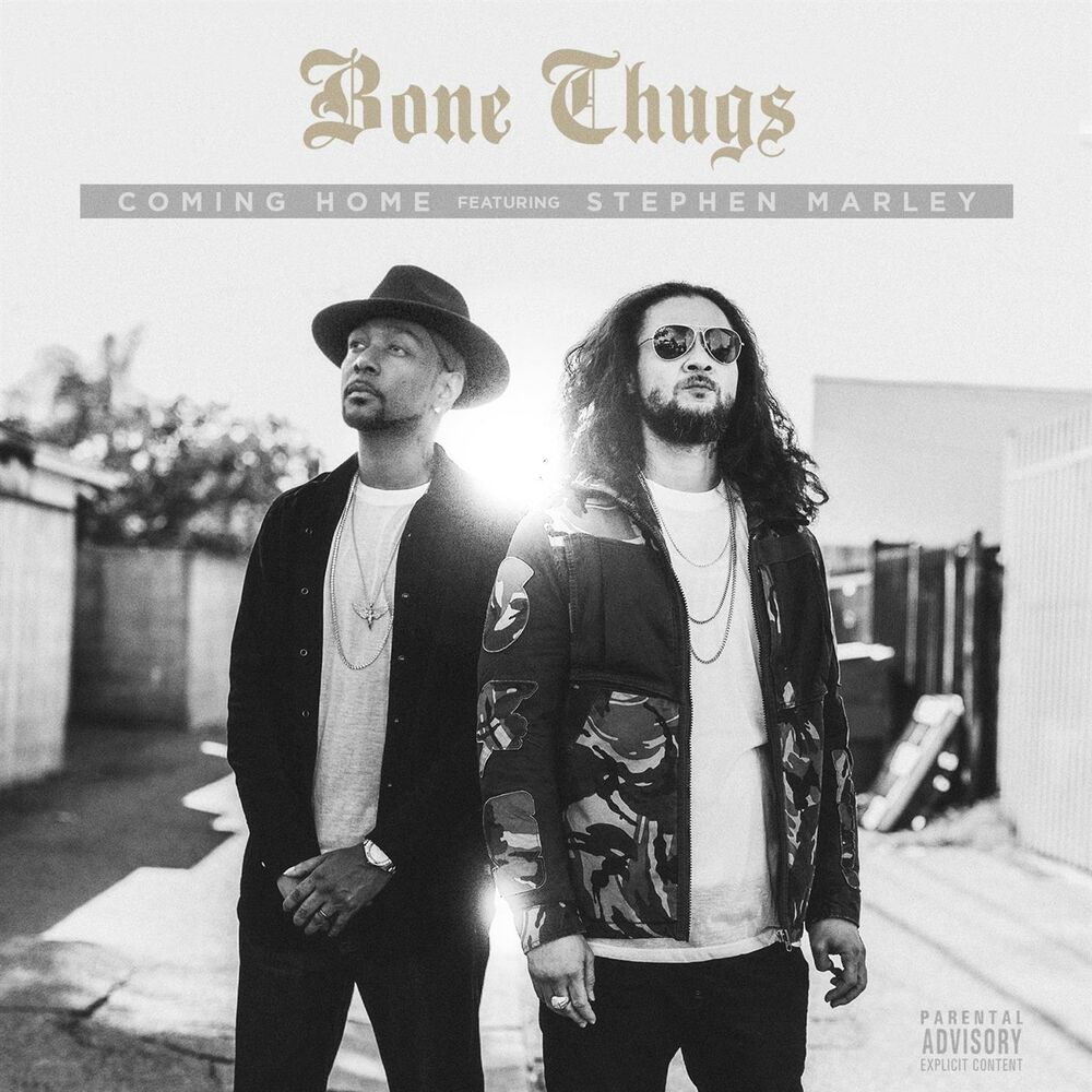 Picture of Coming Home (feat. Stephen Marley)