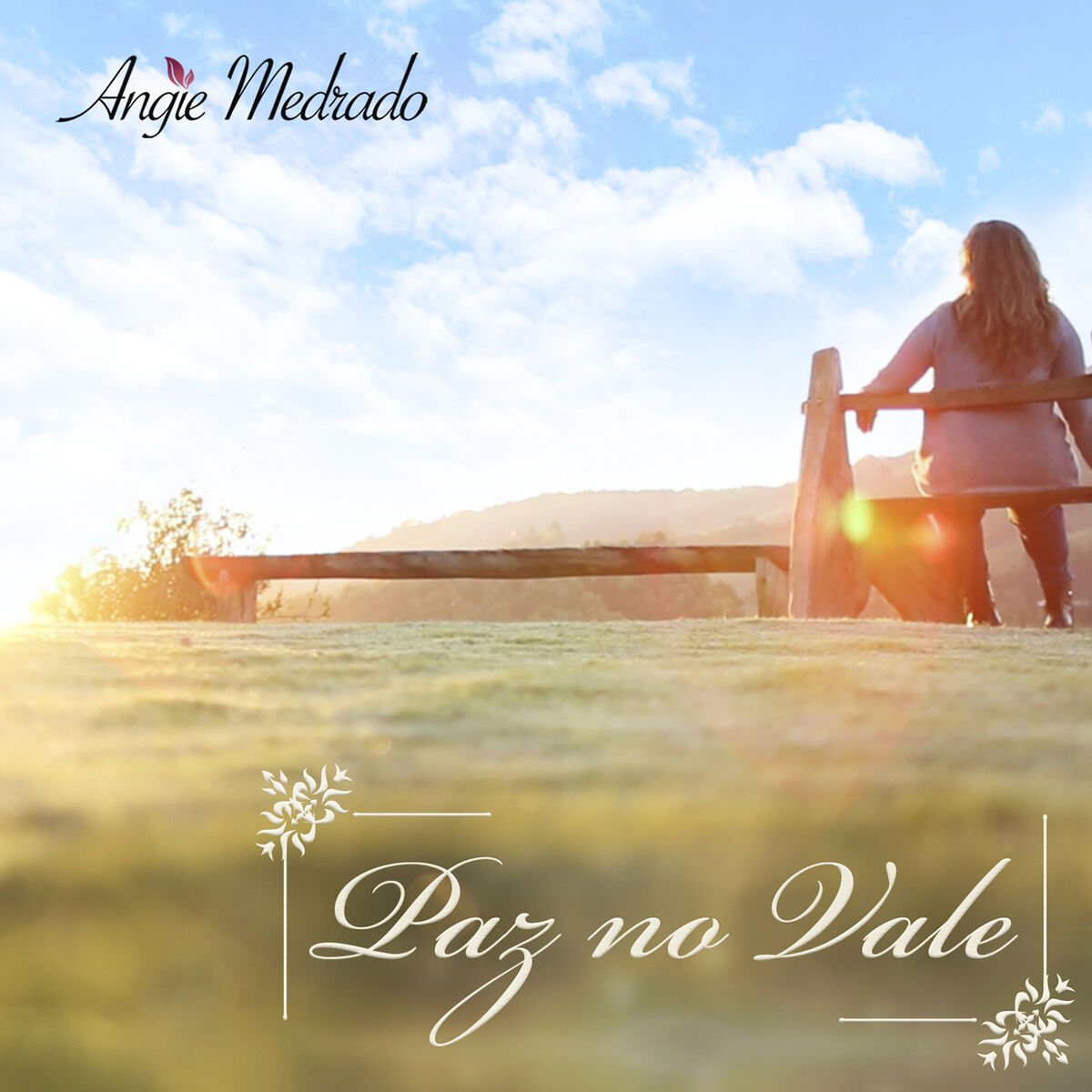 Album cover of Paz no Vale
