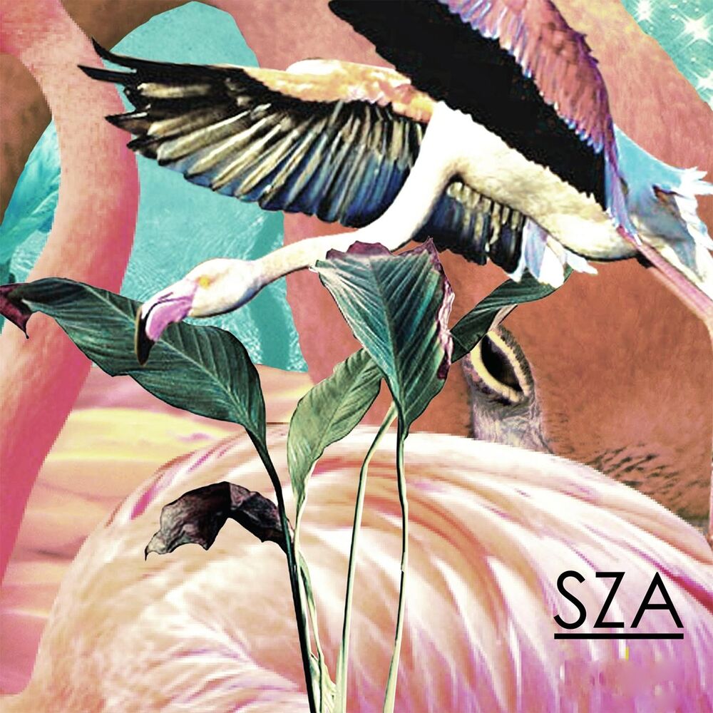 Picture of SZA