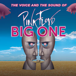 Cover of The Voice and the Sound of Pink Floyd