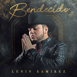 Cover of Bendecído