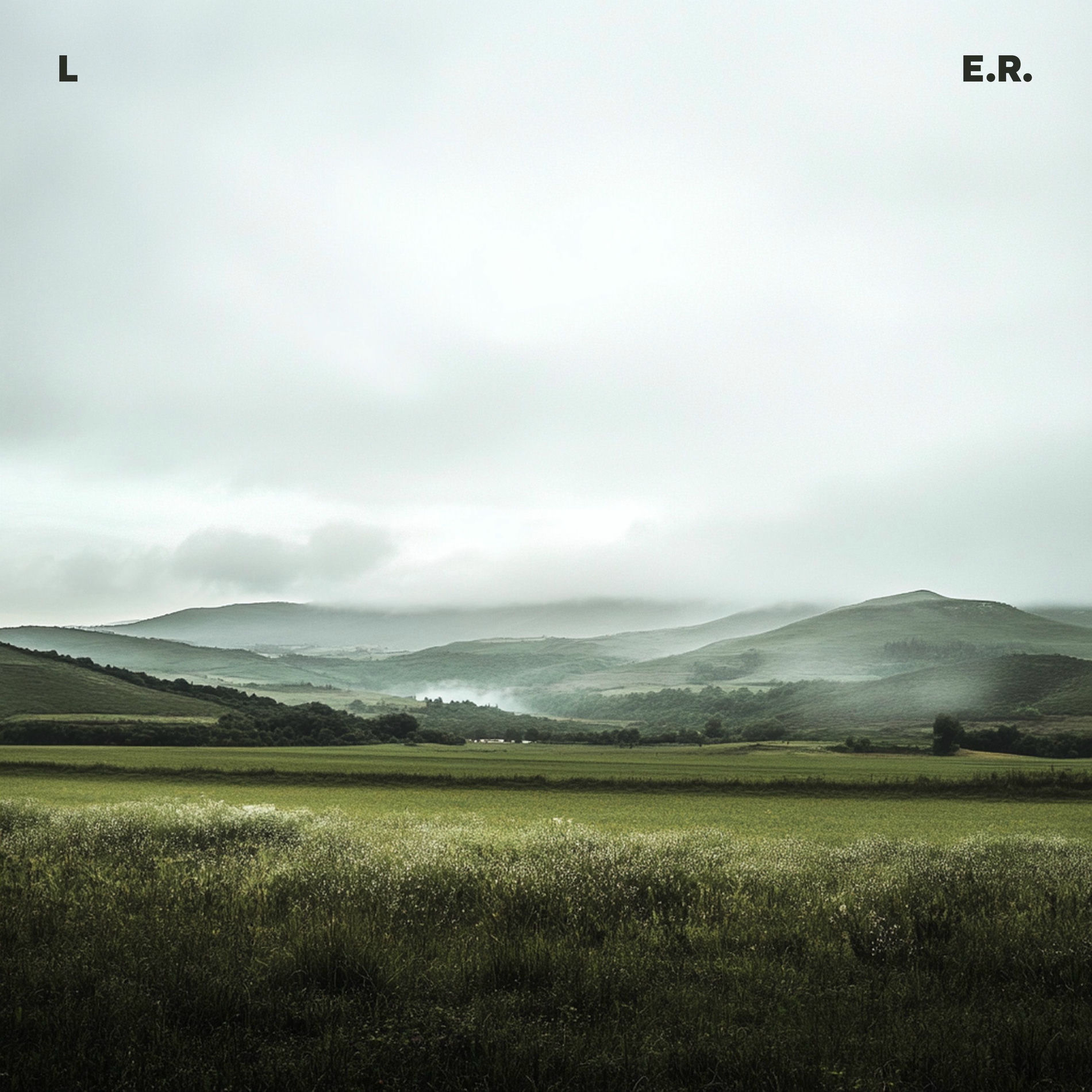 Album cover of L