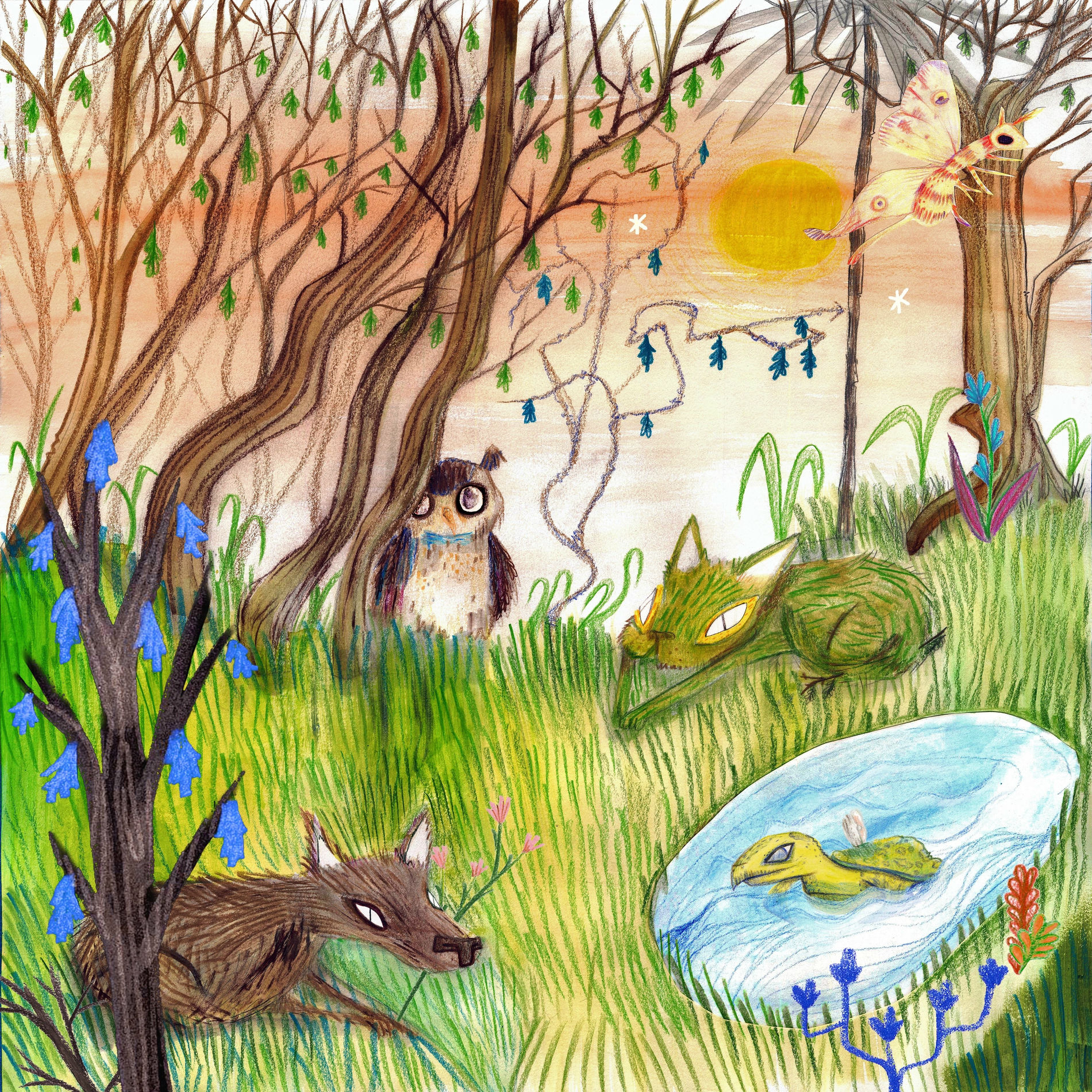 Album picture of Animal Kingdom