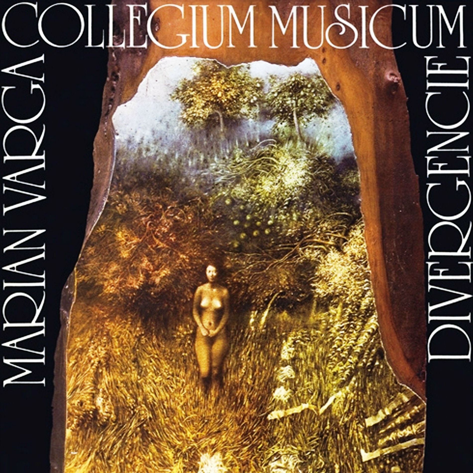 Album cover of Divergencie