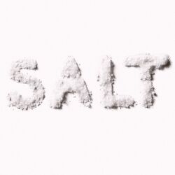 Cover of Salt