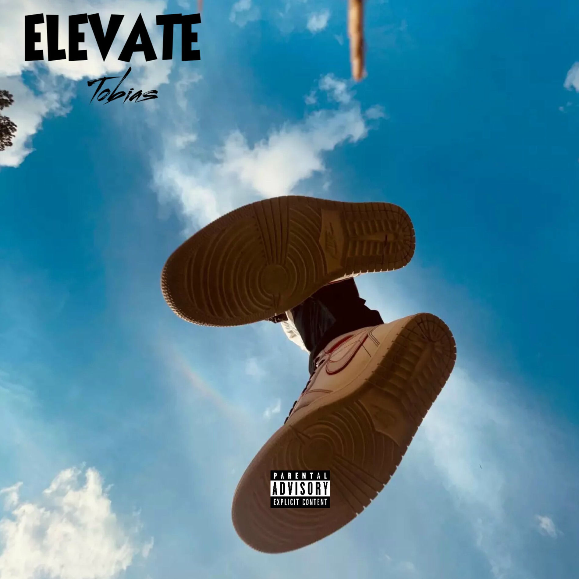 Album cover of ELEVATE