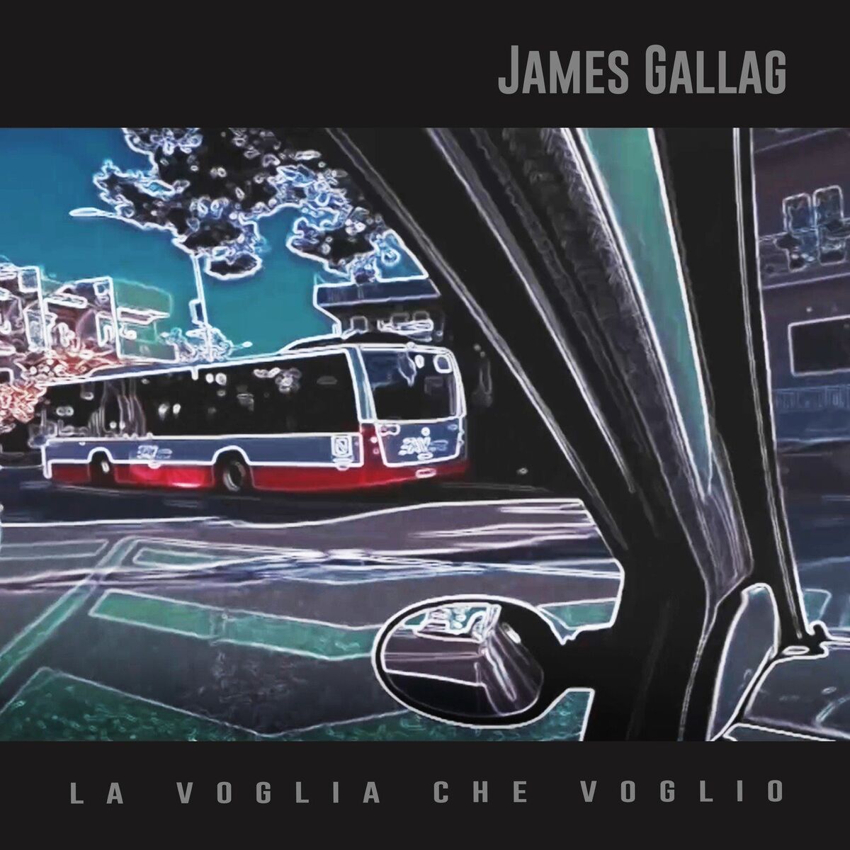 Album cover of La voglia che voglio