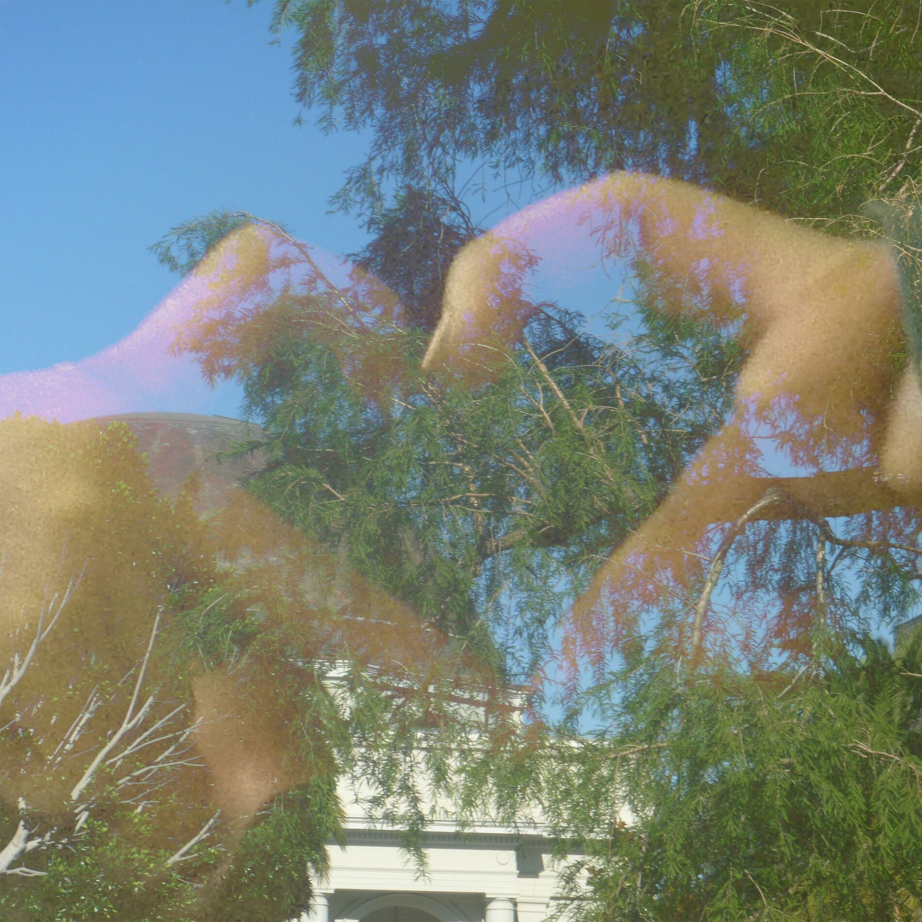 Album cover of lasting reprise
