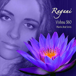 Cover of Vishnu 360 (Mantra Beat Series)