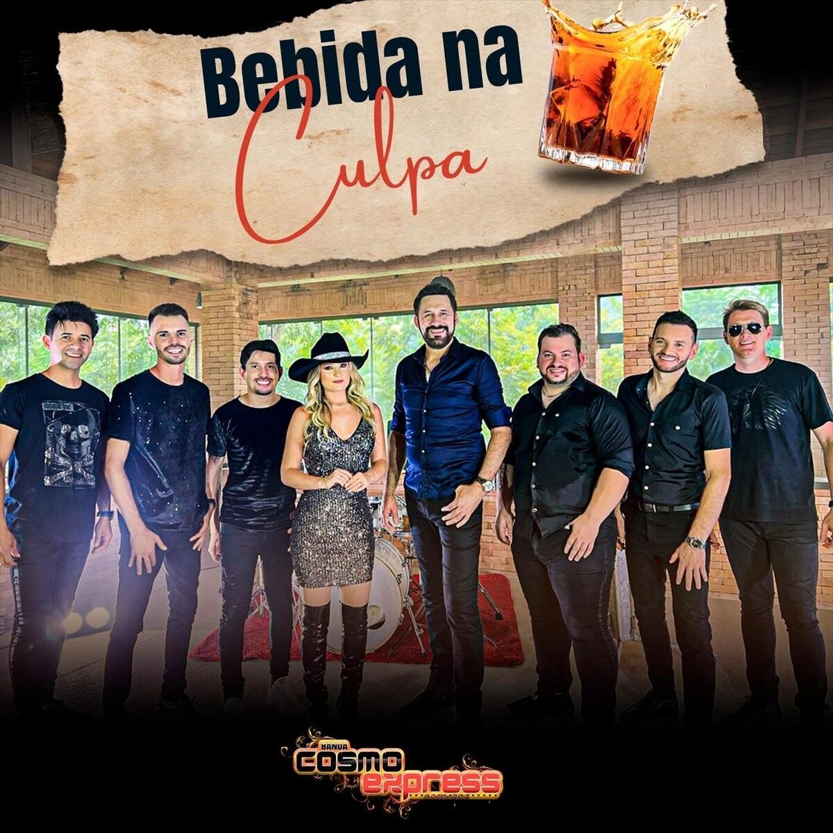 Album cover of Bebida Na Culpa