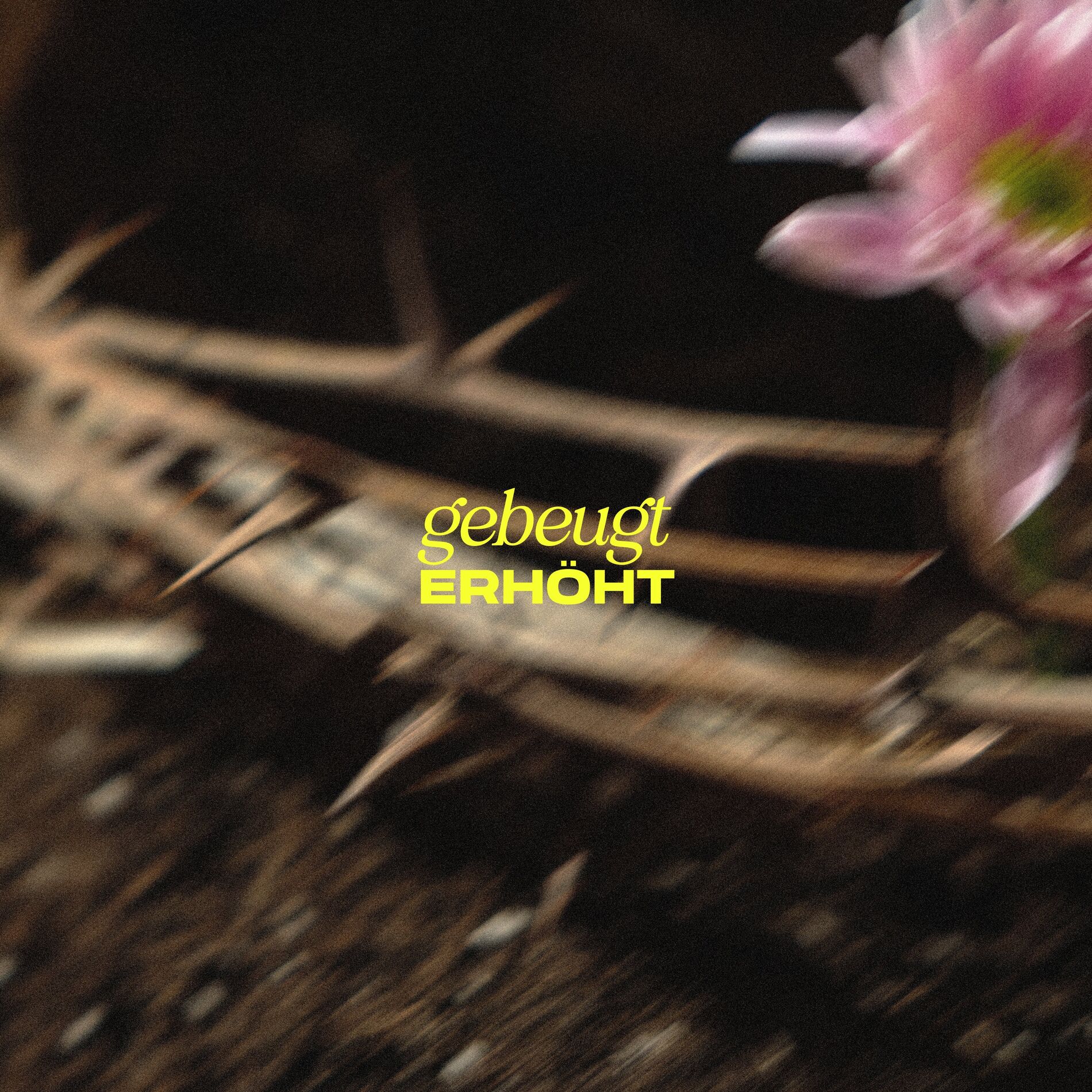 Album cover of Gebeugt erhöht