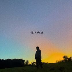Cover of Slip Away