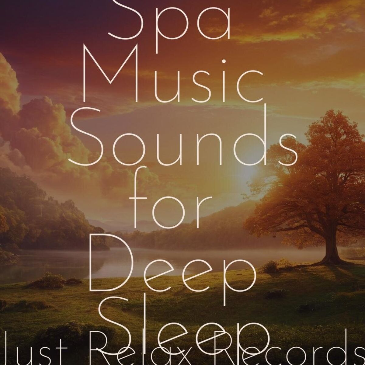 Album cover of 100 Spa Music Sounds for Deep Sleep