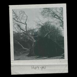 Cover of Hurt You