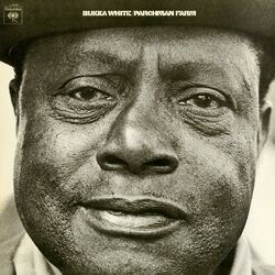 Cover of Parchman Farm