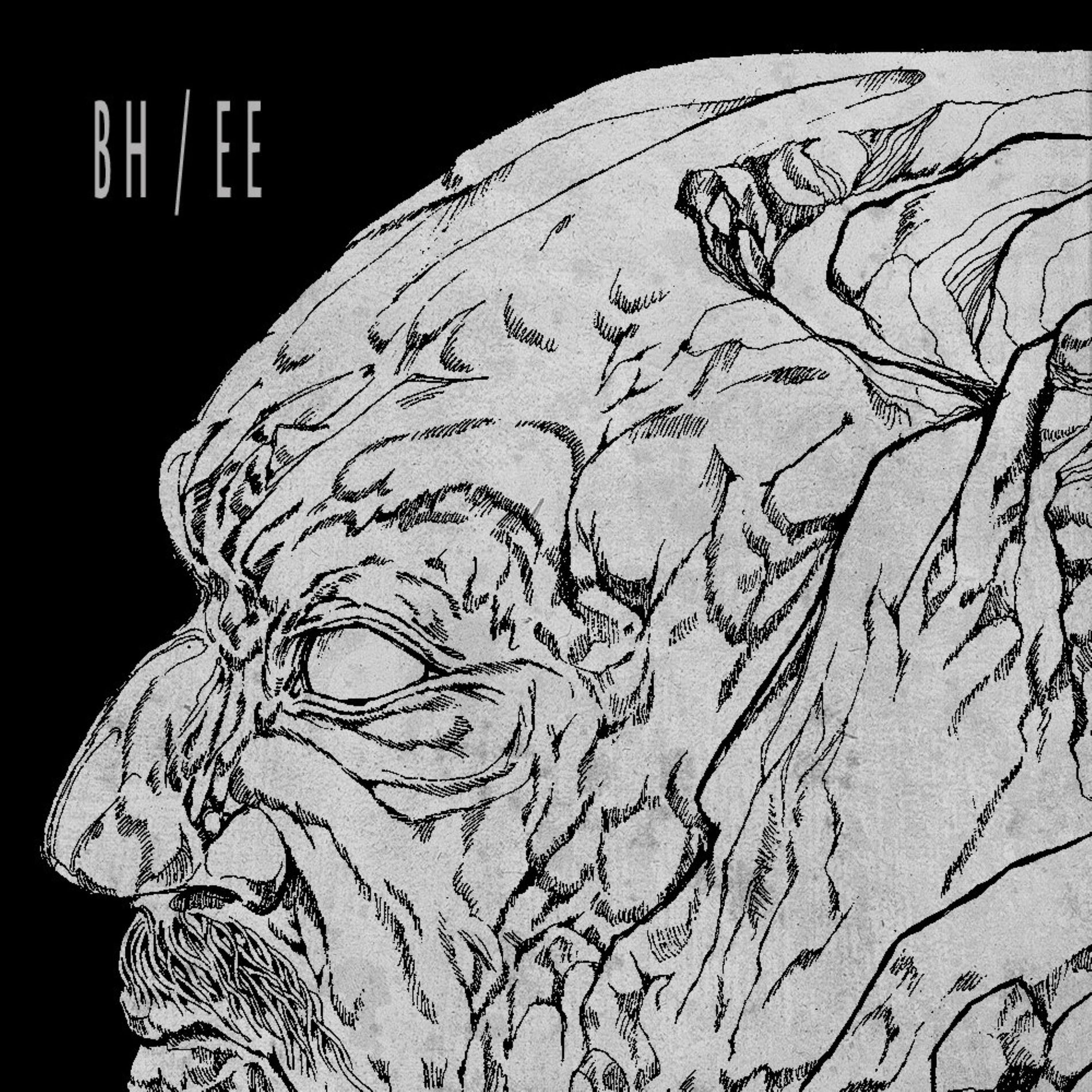Album cover of Black Turns Grey