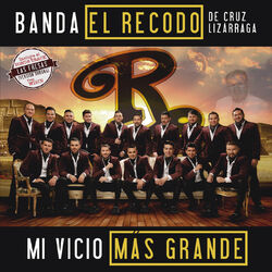 Cover of Mi Vicio Más Grande