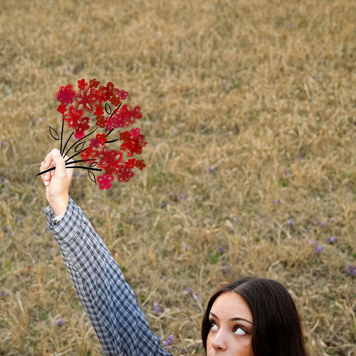 les fleurs