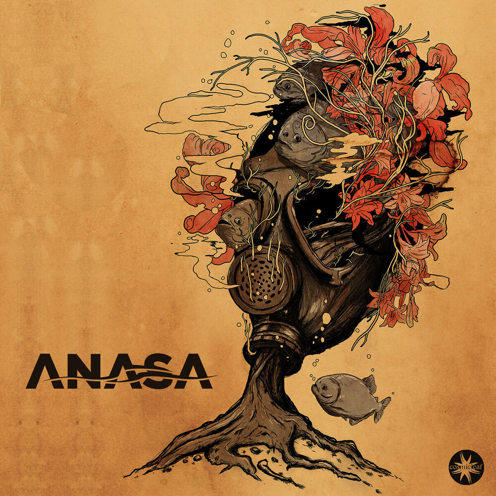 Picture of Anasa