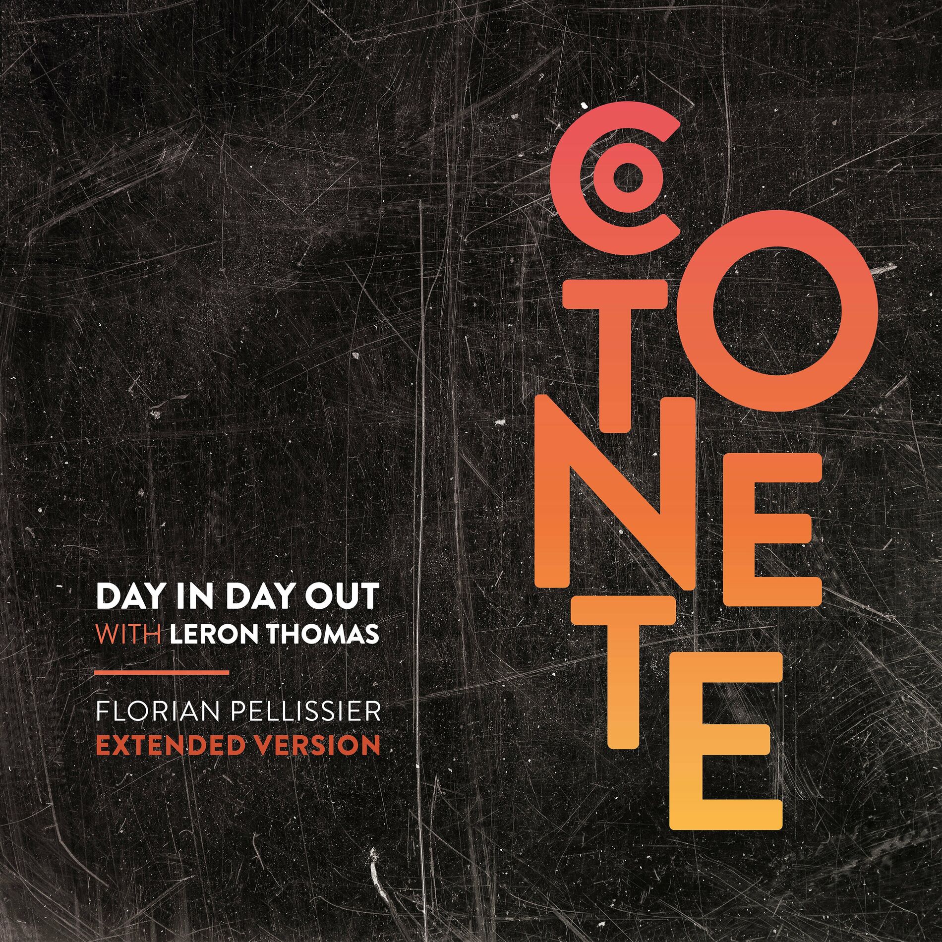 Album cover of Day In Day Out (Florian Pellissier Extended Version)