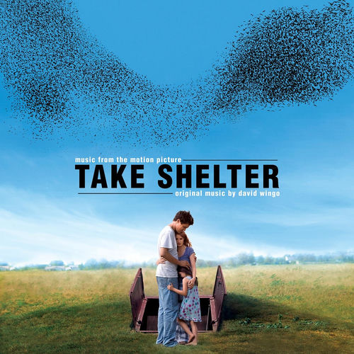 Take Shelter sleeve