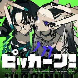 Cover of Pikkaan!
