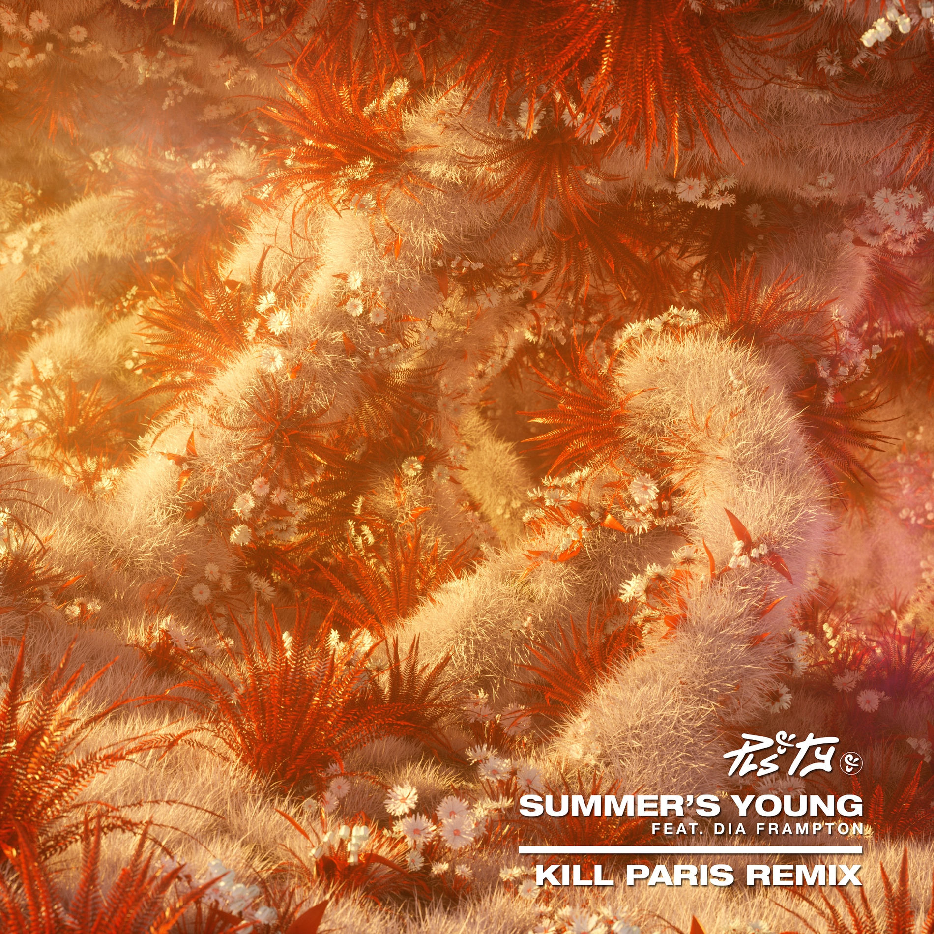 Album cover of Summer's Young (Kill Paris Remix)