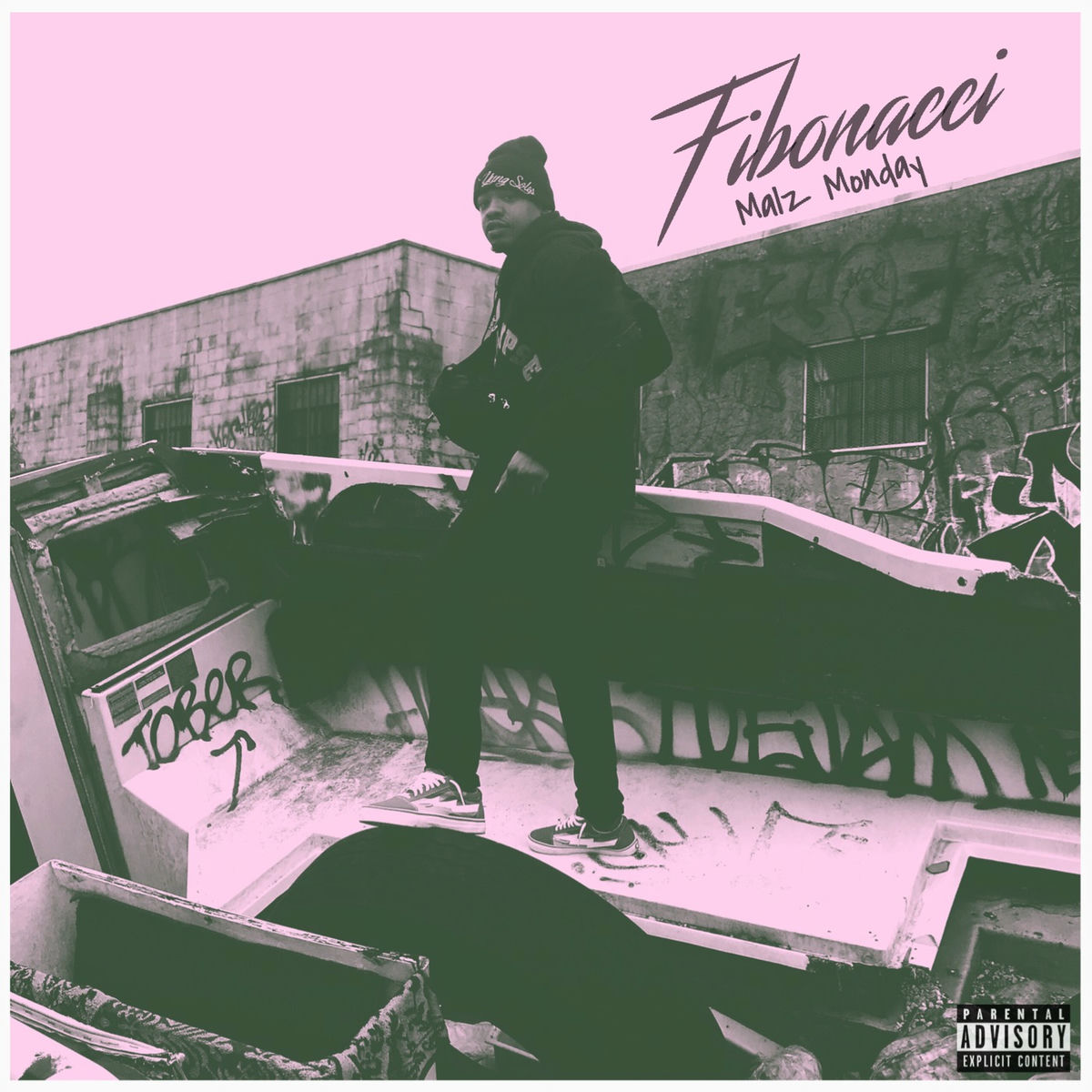 Album cover of Fibonacci