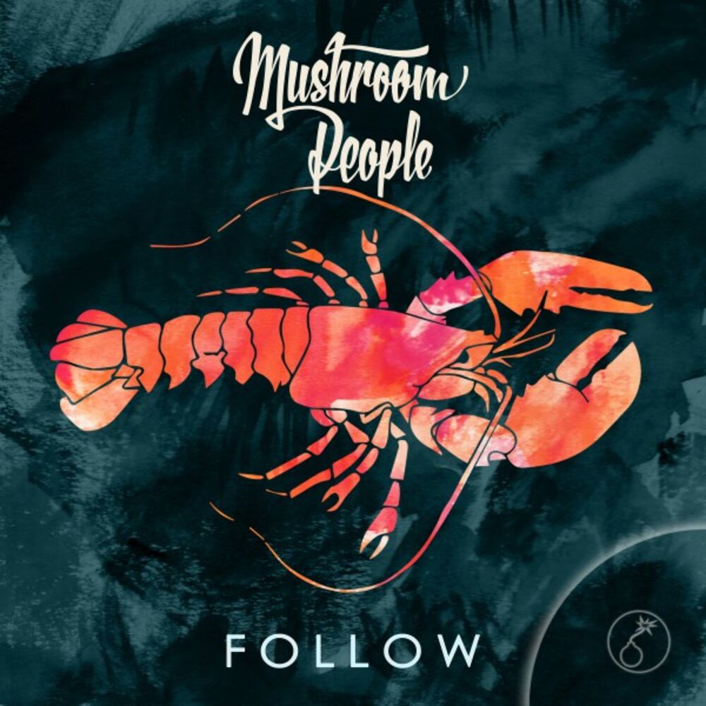 Picture of Follow
