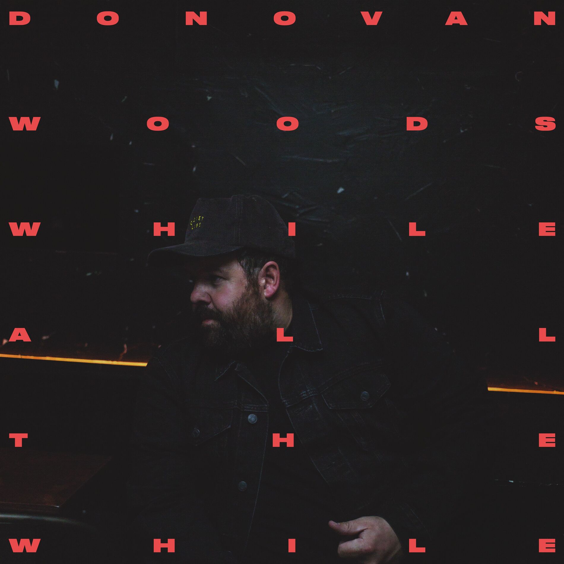 Album cover of While All The While