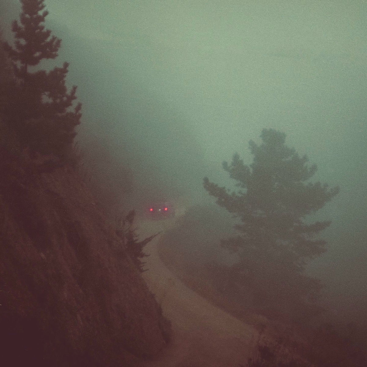 Album cover of The Wire