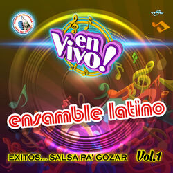 Cover of Exitos... Salsa Pa' Gozar Vol. 1. Música de Guatemala para los Latinos (En Vivo)