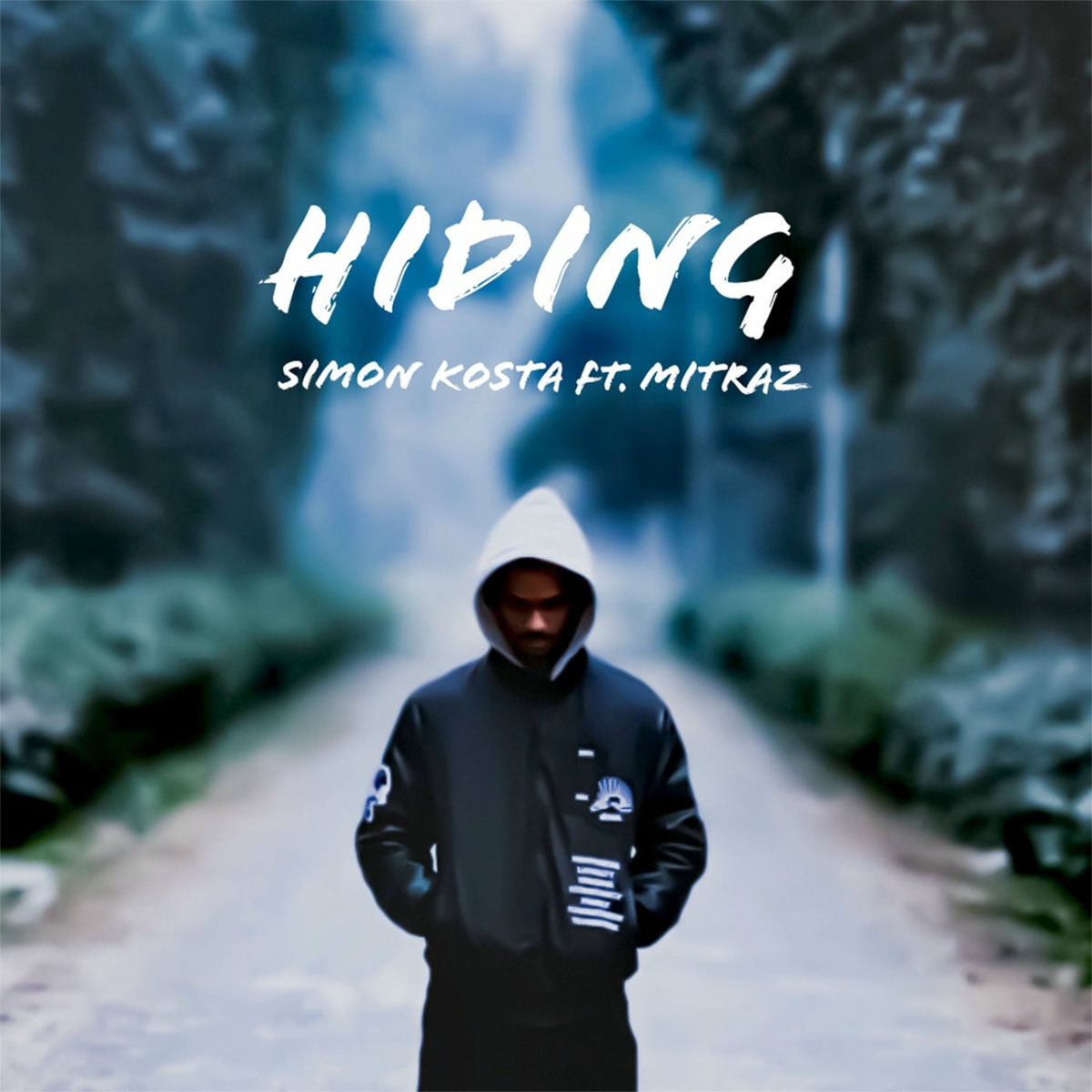 Album cover of Hiding