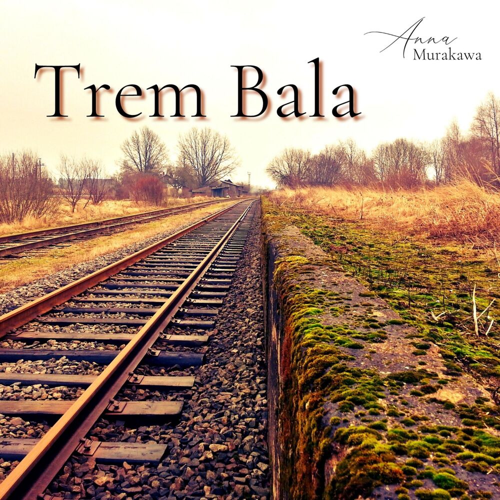 Picture of Trem Bala