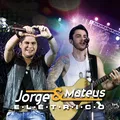 Fogueira