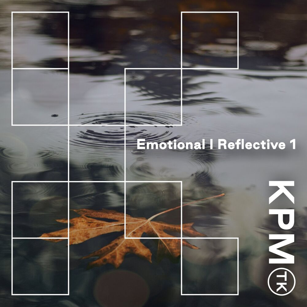 Picture of Emotional | Reflective 1