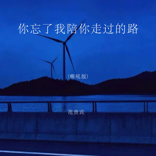 你忘了我陪你走过的路 (嘶吼版)