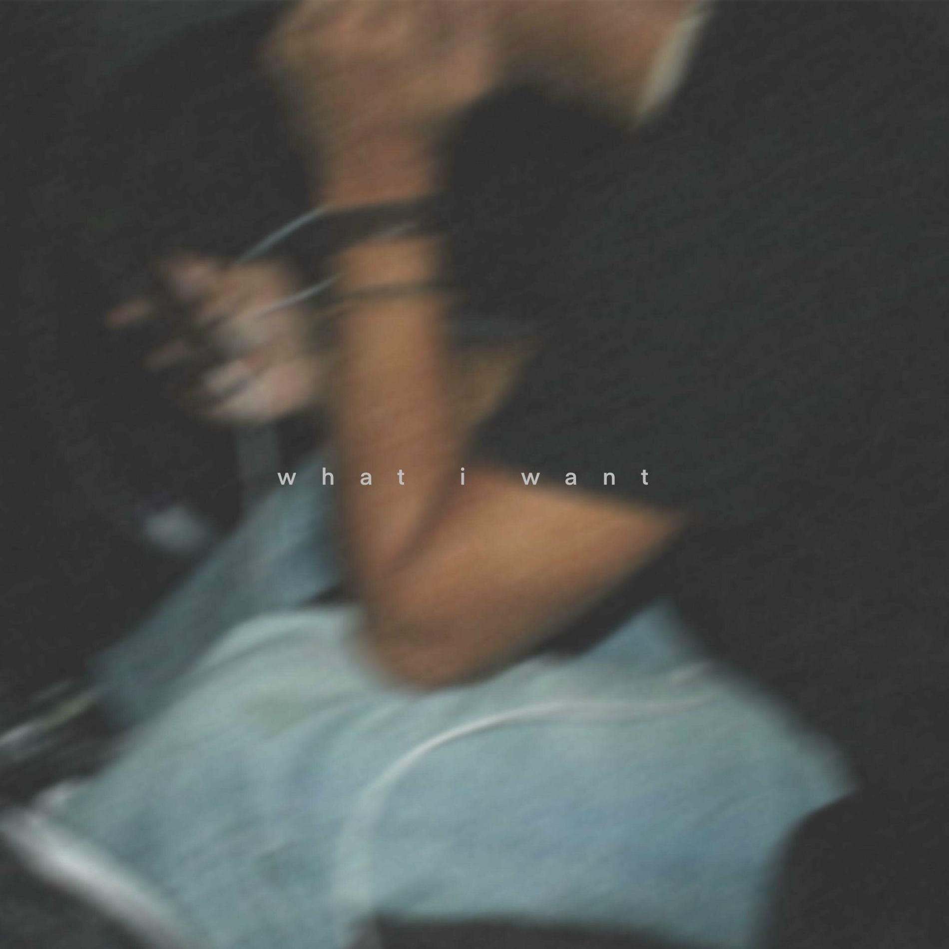 Album cover of what i want (feat. Pertinence)