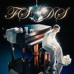 Cover of FS/DS