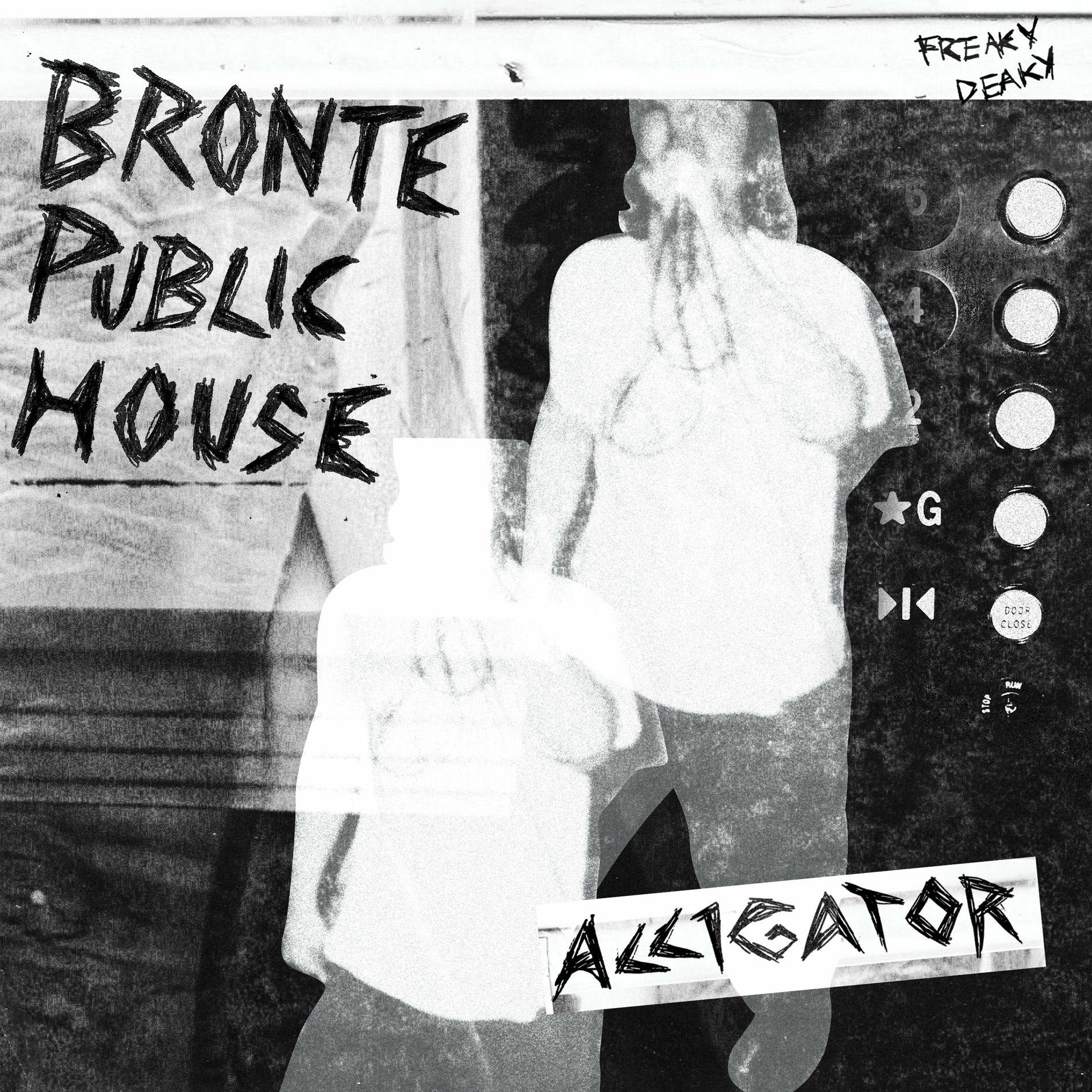 Album cover of ALLIGATOR